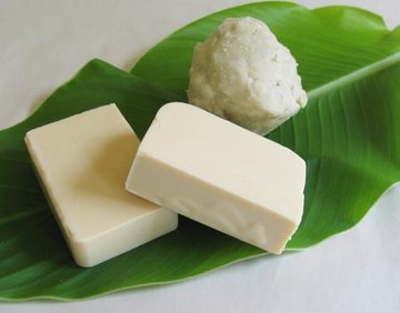 shea maslac